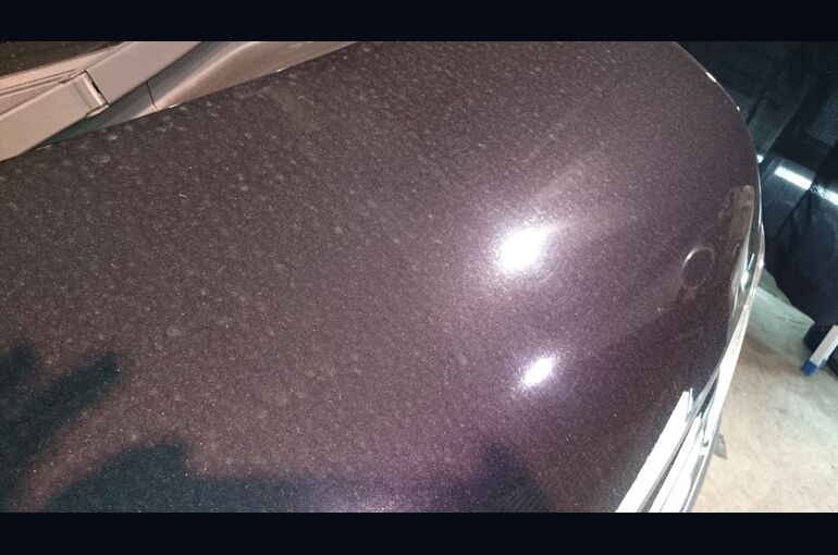 201672811447