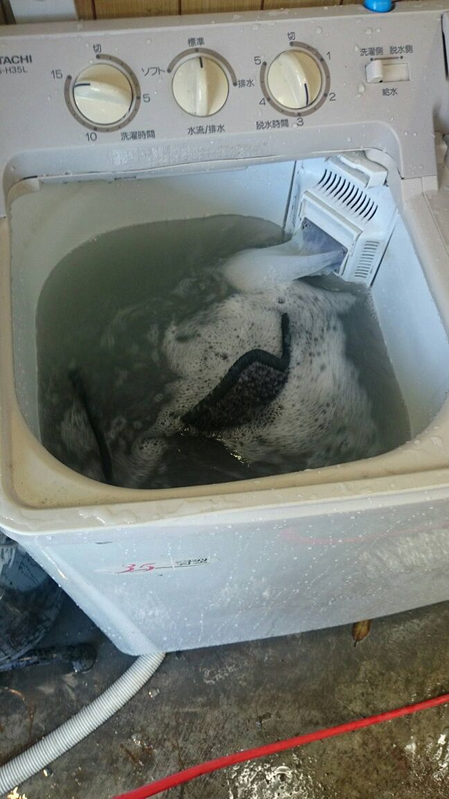 2015712203317.JPG