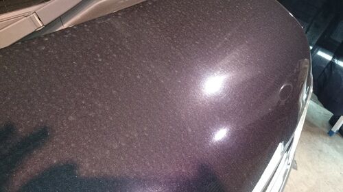 201672811447.JPG